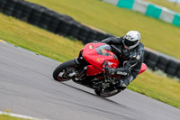 PJ-Motorsport-2019;anglesey-no-limits-trackday;anglesey-photographs;anglesey-trackday-photographs;enduro-digital-images;event-digital-images;eventdigitalimages;no-limits-trackdays;peter-wileman-photography;racing-digital-images;trac-mon;trackday-digital-images;trackday-photos;ty-croes